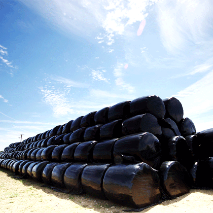 Silage films