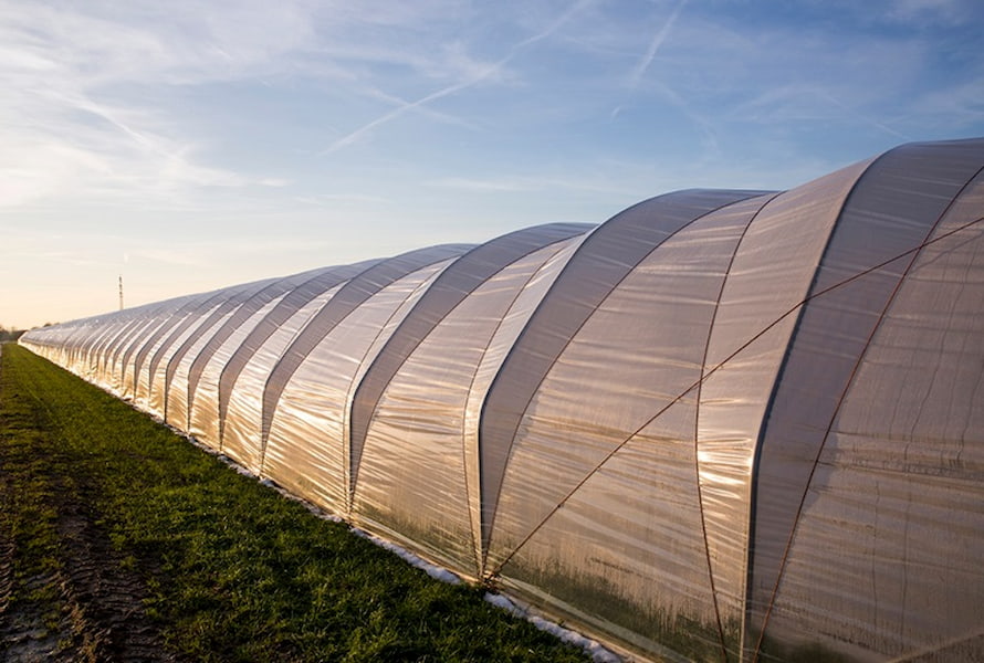 Top 5 polymer additives for agricultural films