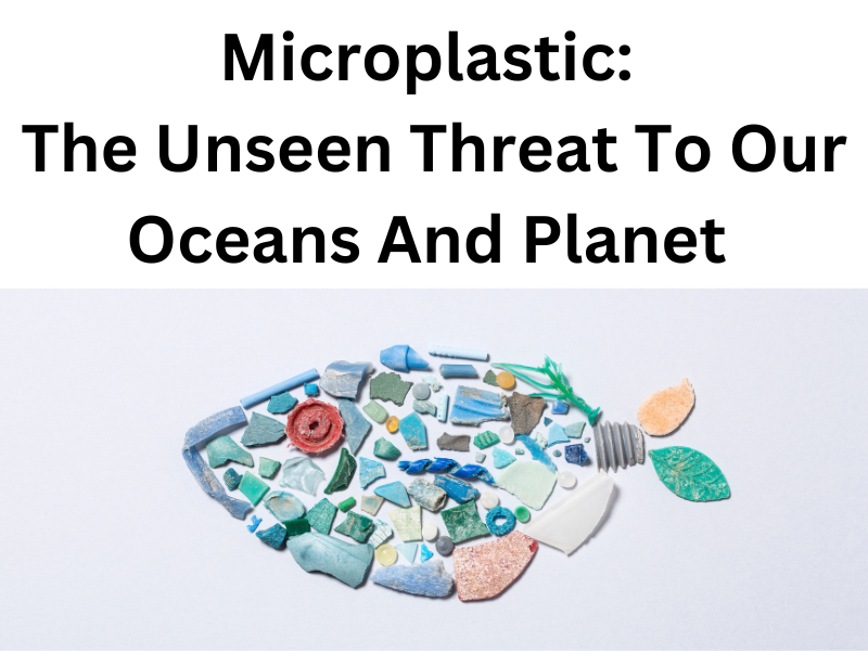 Microplastic: the unseen threat to our oceans and planet