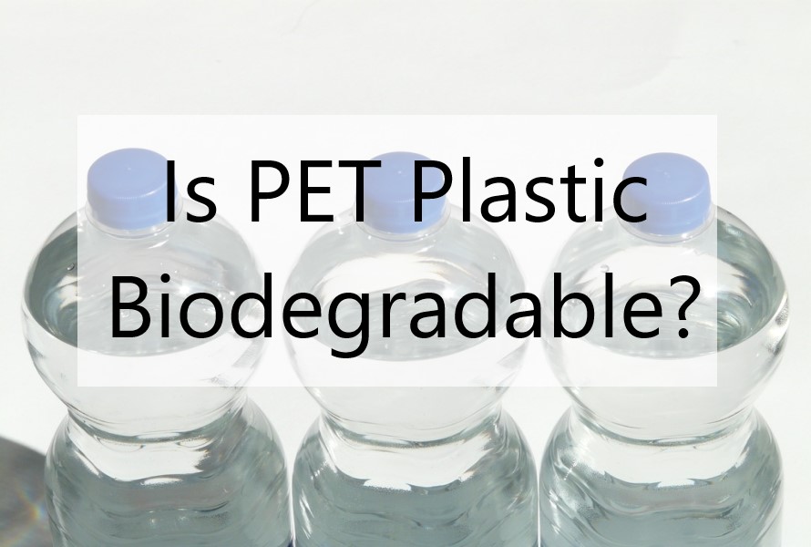 Is PET Plastic Biodegradable?