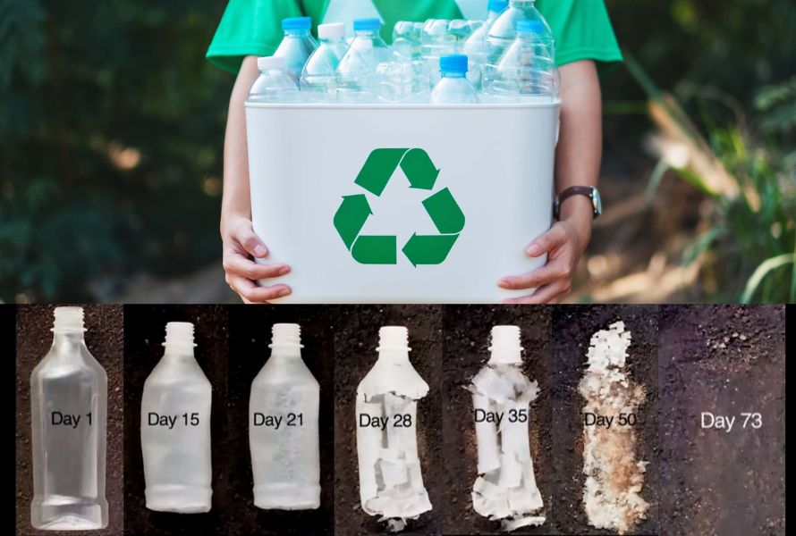 Sự khác nhau giữa nhựa phân hủy sinh học và nhựa tái chế