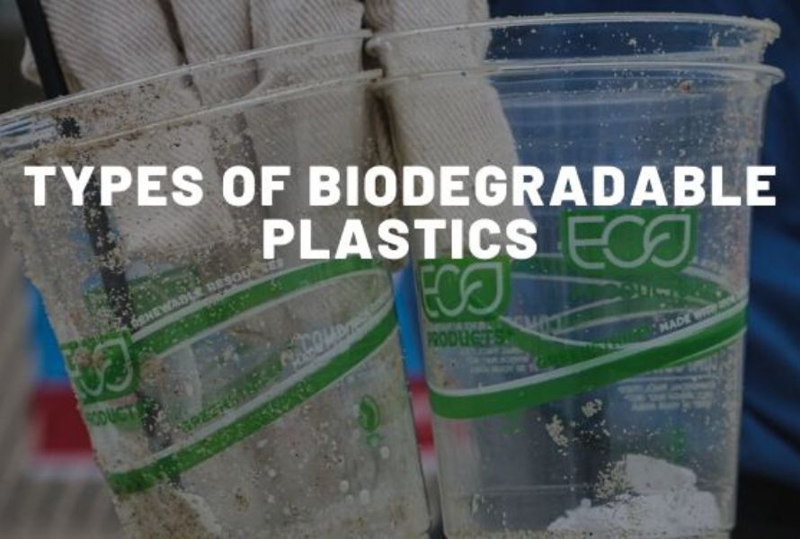 Các loại nhựa phân hủy sinh học
