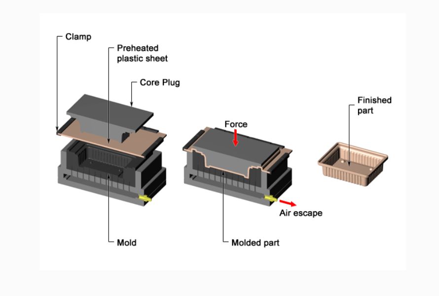 What is thermoforming? The process and applications