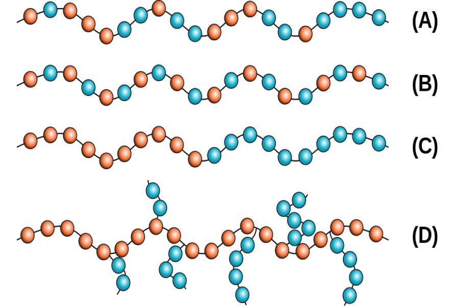 Explore the different types of copolymers