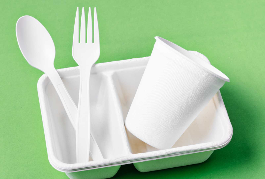 Can Bioplastic Be Genetically Modified?