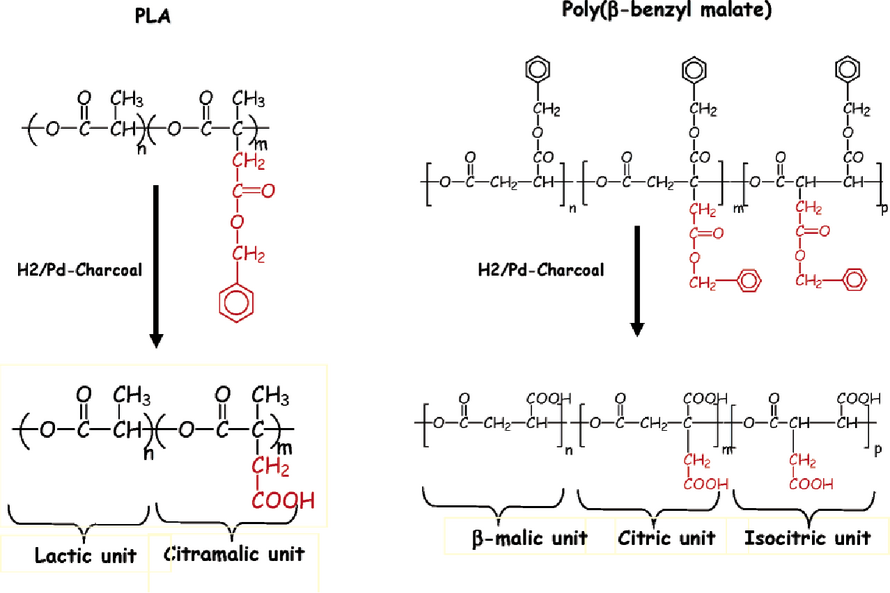 Khám phá bí mật đằng sau polyester aliphatic