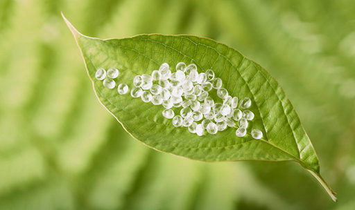 Nylon và PLA: Sự khác biệt là gì?