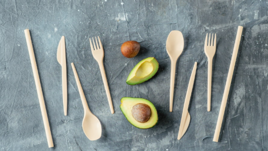 What Is The Bioplastic Life Cycle?