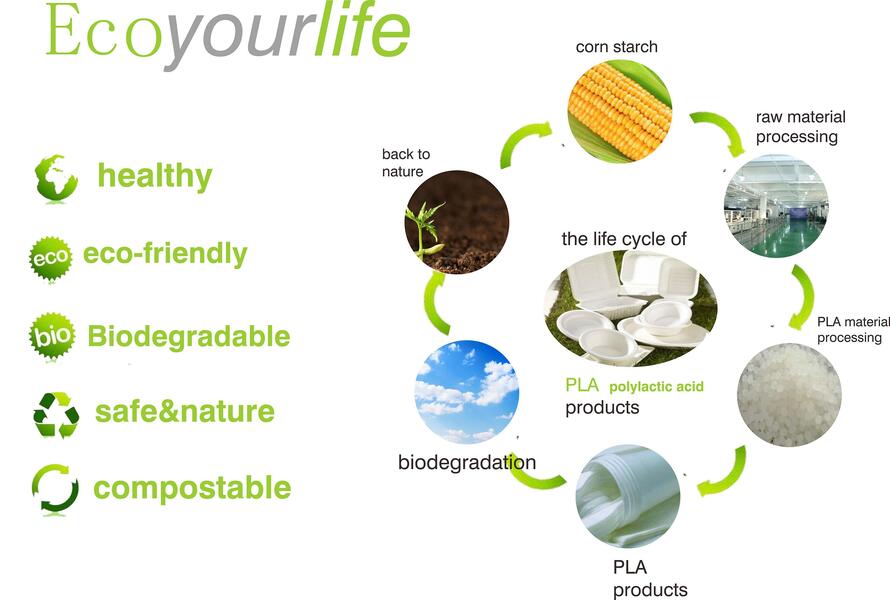 Product life cycle of PLA plastic