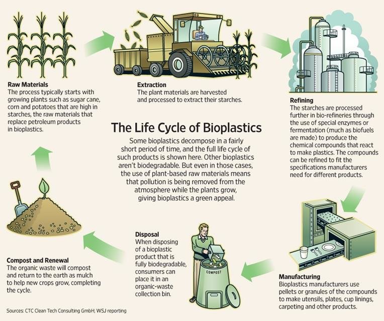 The bioplastic life cycle