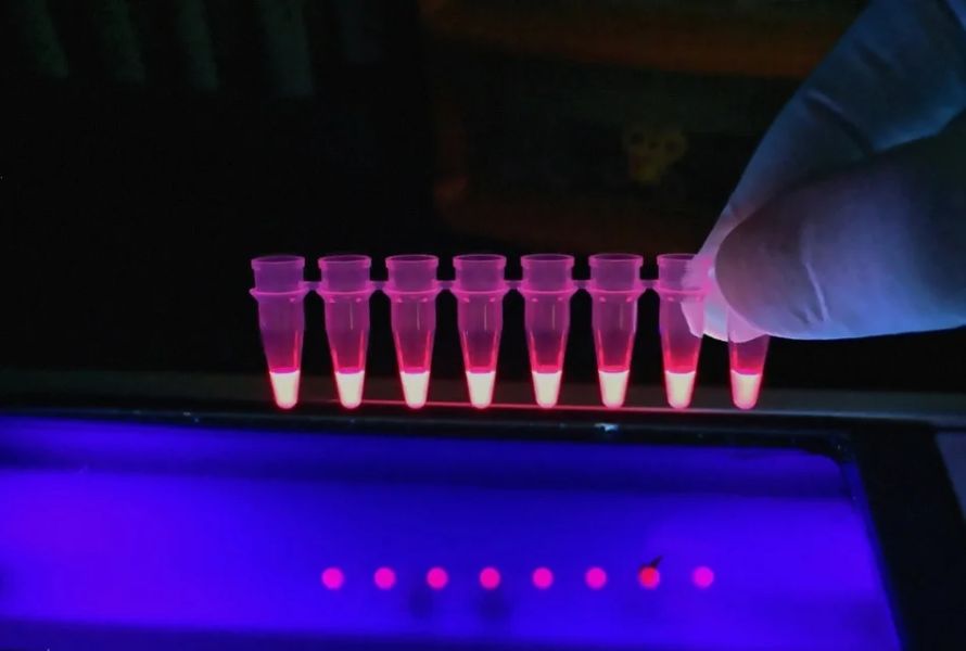 Dựa trên đặc điểm huỳnh quang của chúng, phân tích huỳnh quang có thể được sử dụng để xác định hạt vi nhựa