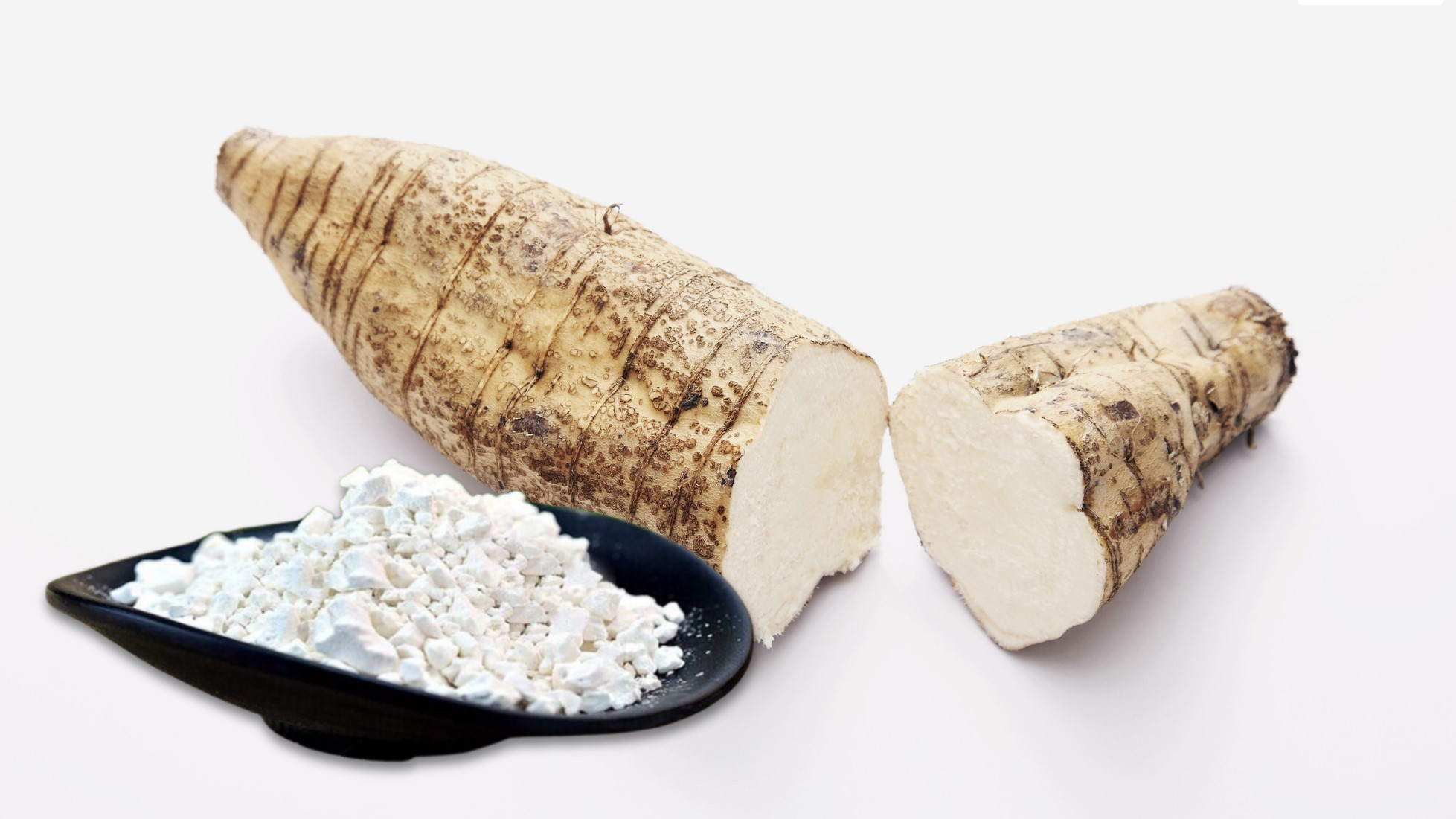 Bioplastic from cassava starch is a biodegradable material created using starch extracted from the cassava root. Bioplastic from cassava starch is a biodegradable material created using starch extracted from the cassava root.