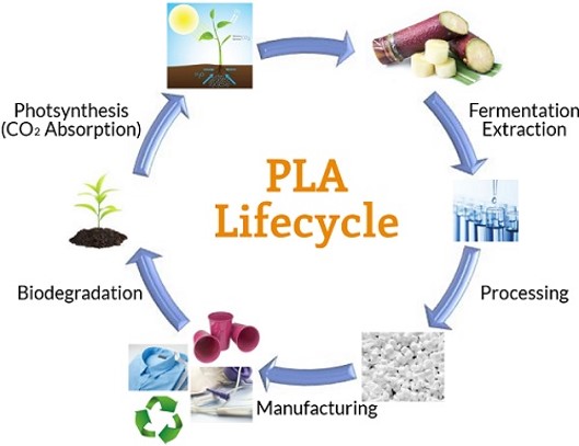 PLA lifecycle