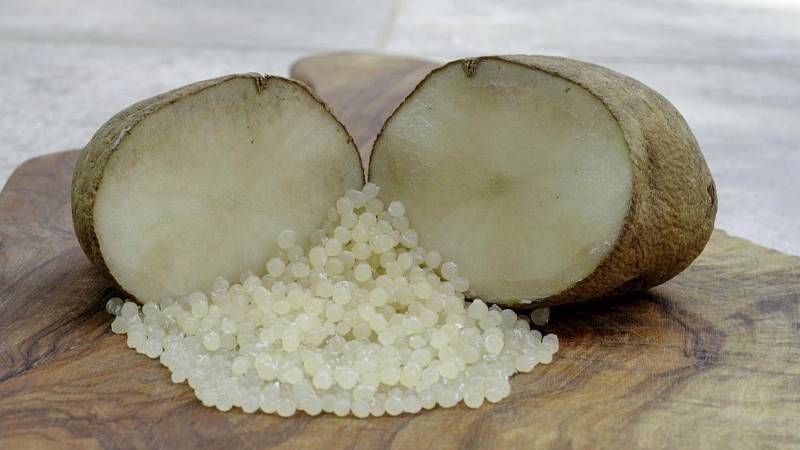 the raw materials for bioplastics - tinh bột khoai tây