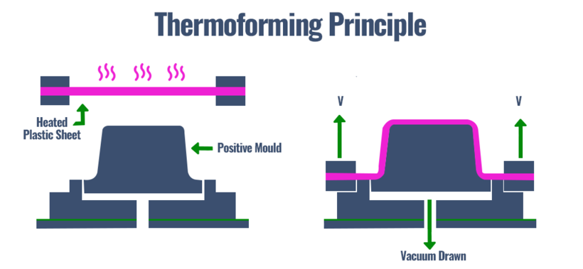Positive mold of thermoforming process