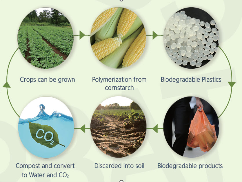 What are bioplastics made from