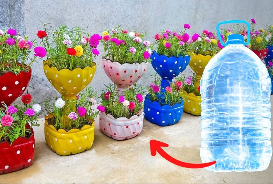 Recycling Plastic Bottles