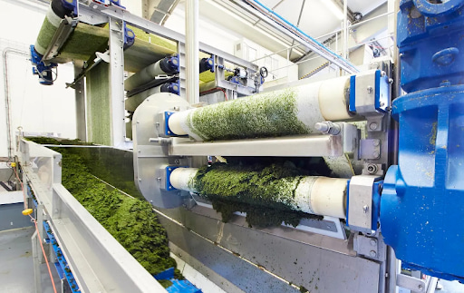  Algae will be cultivated in a carefully controlled environment