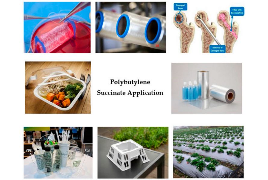Ứng dụng của polybutylene succinate